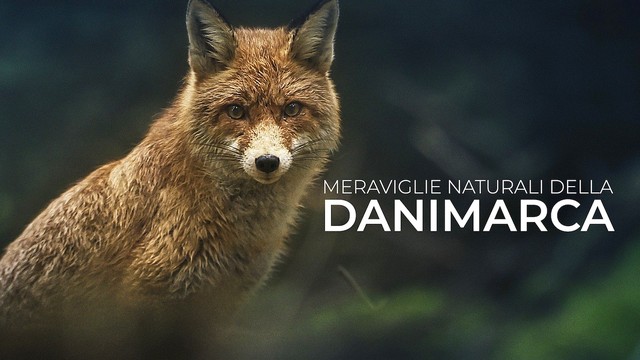 Meraviglie naturali della Danimarca