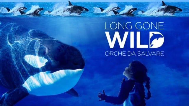 Long gone wild - Orche da salvare