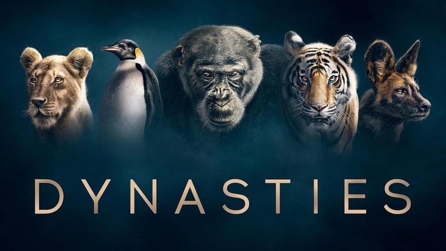 Dynasties