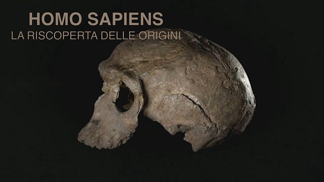 Homo Sapiens - La riscoperta delle origini