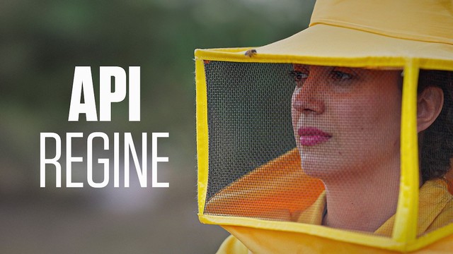 Api regine. Abis maistas