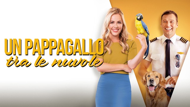 Un pappagallo tra le nuvole