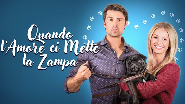 Quando l'amore ci mette la zampa