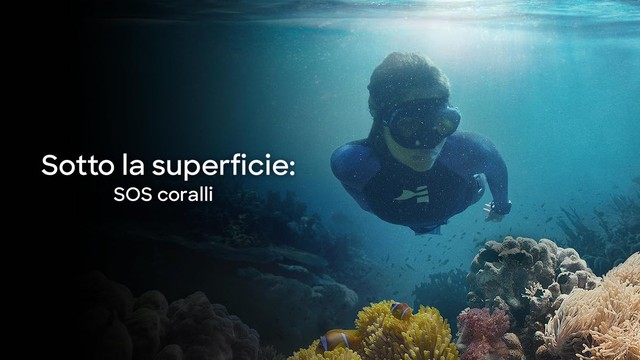 Sotto la superficie: SOS coralli