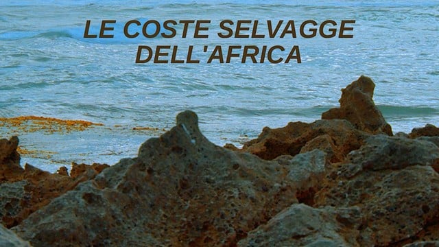 Le coste selvagge dell'Africa