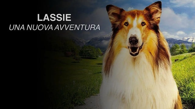 Lassie - Una nuova avventura