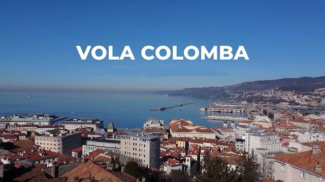 Vola colomba (Trieste 1954)