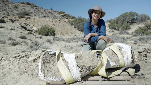 Secrets of the jurassic dinosaurs