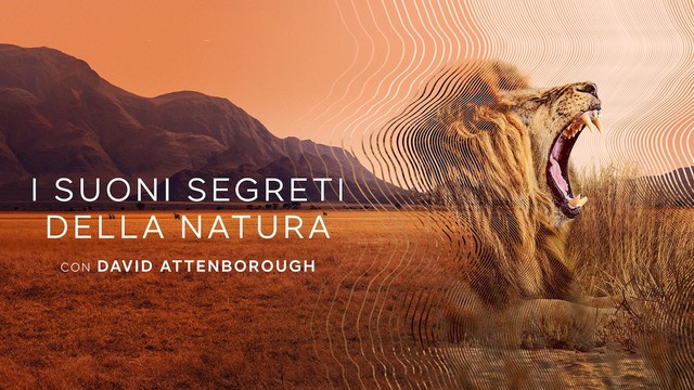 I suoni segreti della natura con David Attenborough
