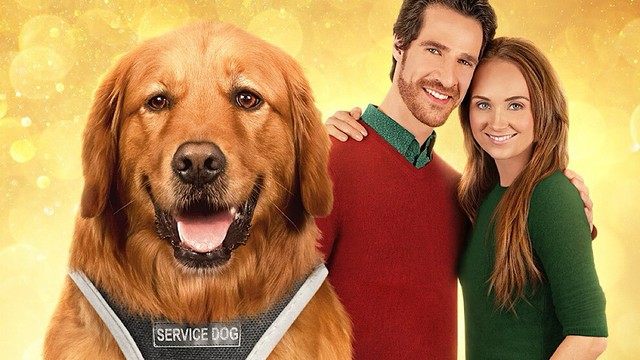 Una guida per Natale