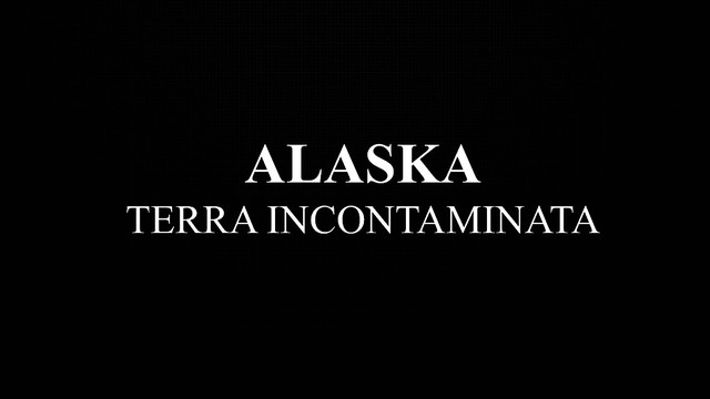 Alaska - Terra incontaminata