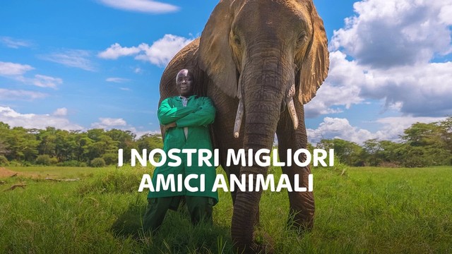 I nostri migliori amici animali