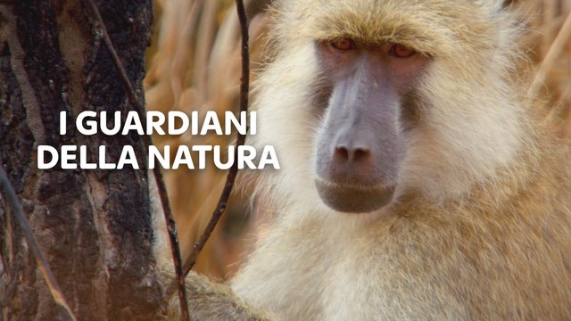 I guardiani della Natura