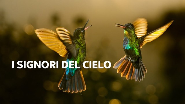 I signori del cielo