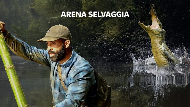 Arena selvaggia