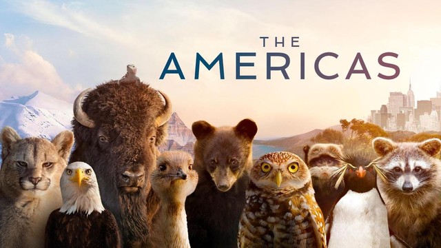 The Americas