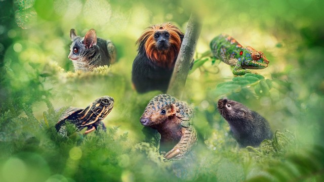 Little heroes: Piccole grandi avventure