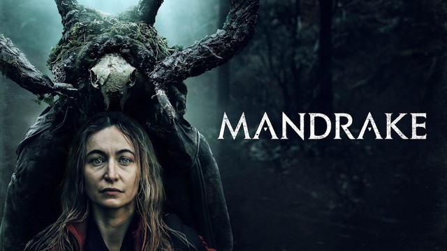 Mandrake