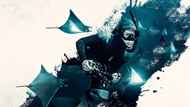 Nord America selvaggio