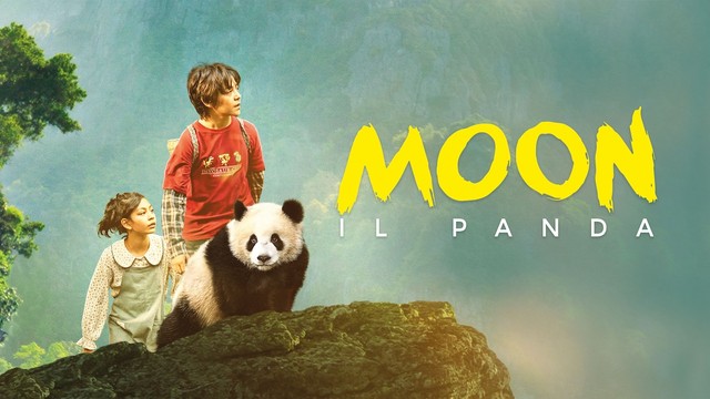 Moon il panda