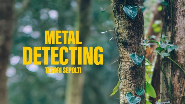 Metal Detecting: tesori sepolti
