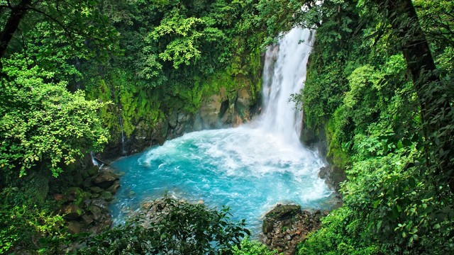 La magia della natura: Costa Rica
