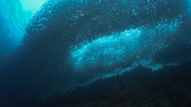 I segreti delle acque incantate