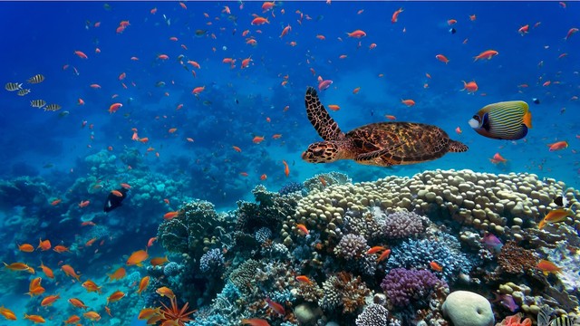 Oceano Atlantico - Profondo blu