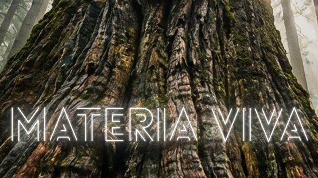 Materia viva