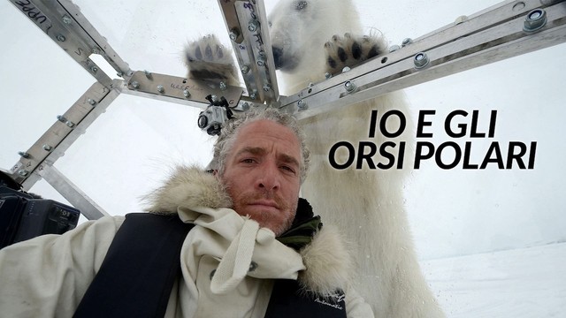 Io e gli orsi polari
