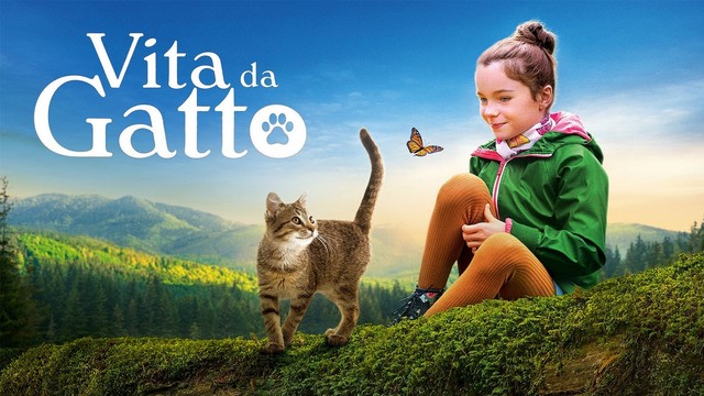 Vita da gatto