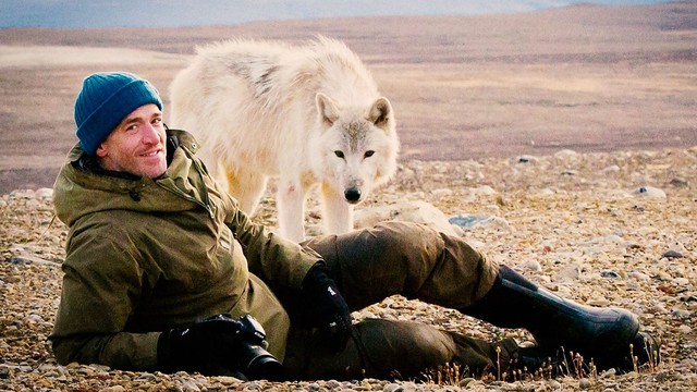 Io e i lupi delle nevi