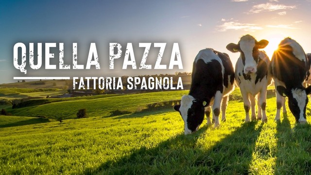 Quella pazza fattoria spagnola