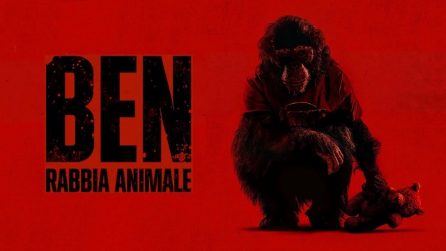 Ben - Rabbia animale