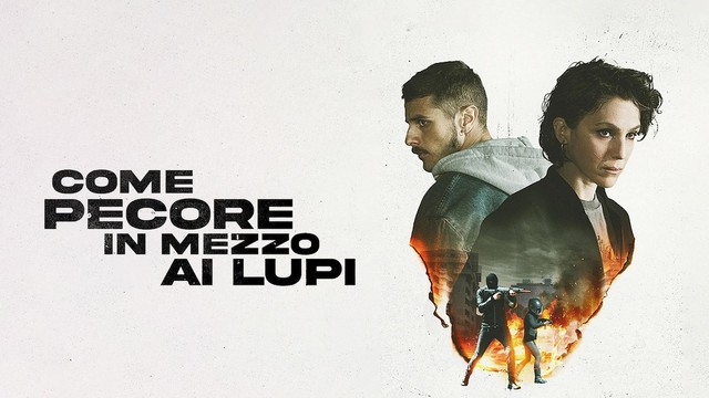 Come pecore in mezzo ai lupi