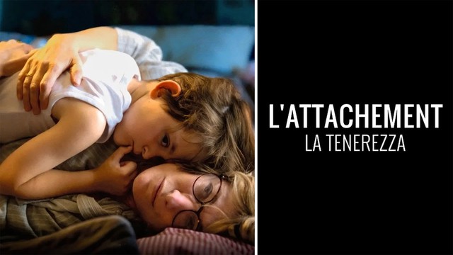 L'attachement - La tenerezza