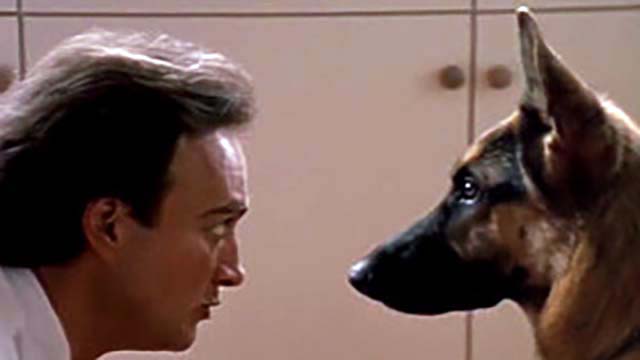 Un poliziotto a quattro zampe