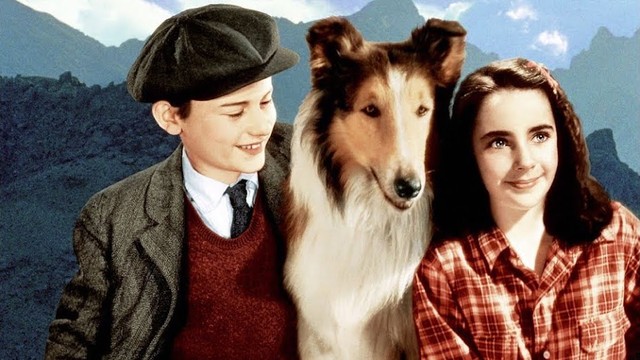 Torna a casa, Lassie!