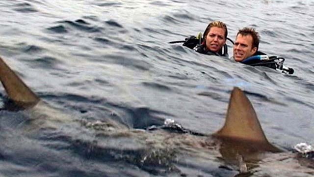 Open Water