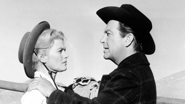 Il vendicatore del Texas