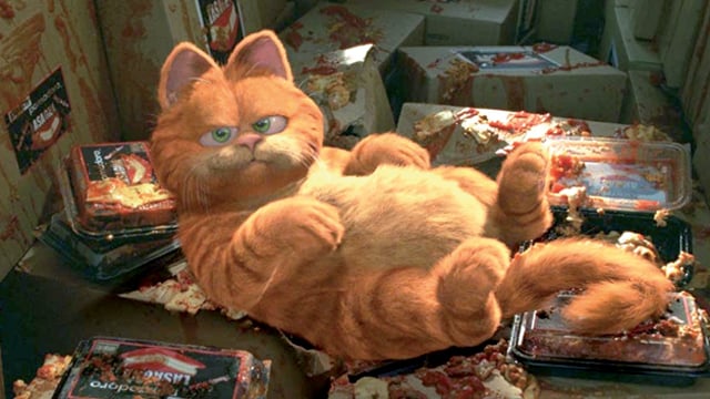 Garfield: Il film