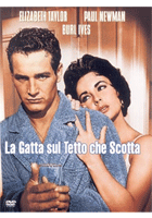 La gatta sul tetto che scotta