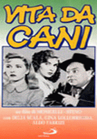 Vita da cani