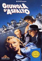 Giungla d'asfalto