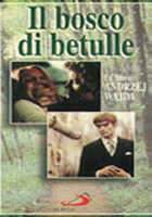 IL BOSCO DI BETULLE