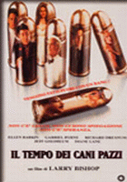 Il tempo dei cani pazzi