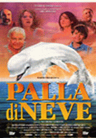 Palla di neve