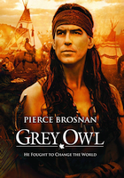 Grey Owl - Gufo grigio