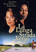 La lunga strada verso casa