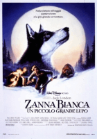 Zanna bianca un piccolo grande lupo